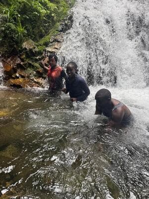 Bwindi Impenetrable National Park