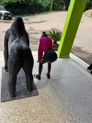 Bwindi Impenetrable National Park