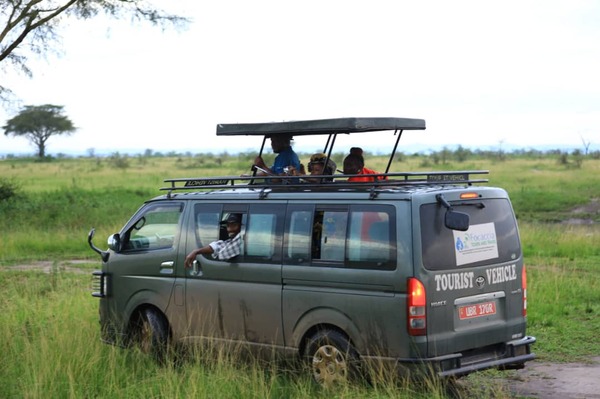 Spacious safari rides